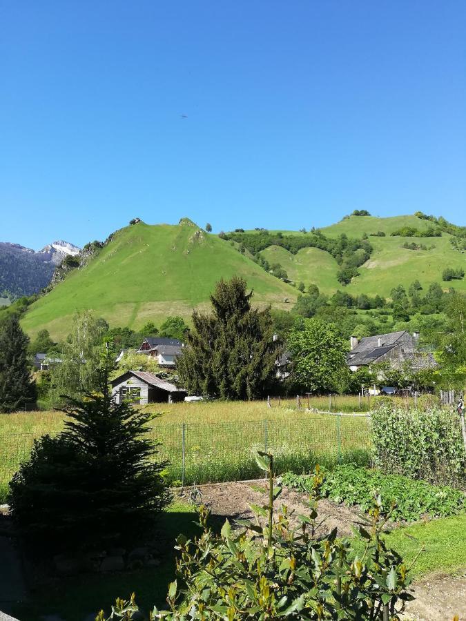 La Maison De Jeanne Osse-en-Aspe Eksteriør bilde